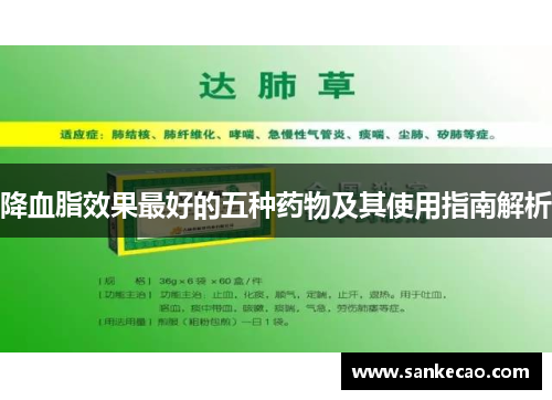降血脂效果最好的五种药物及其使用指南解析