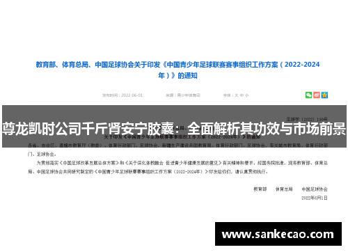 尊龙凯时公司千斤肾安宁胶囊：全面解析其功效与市场前景